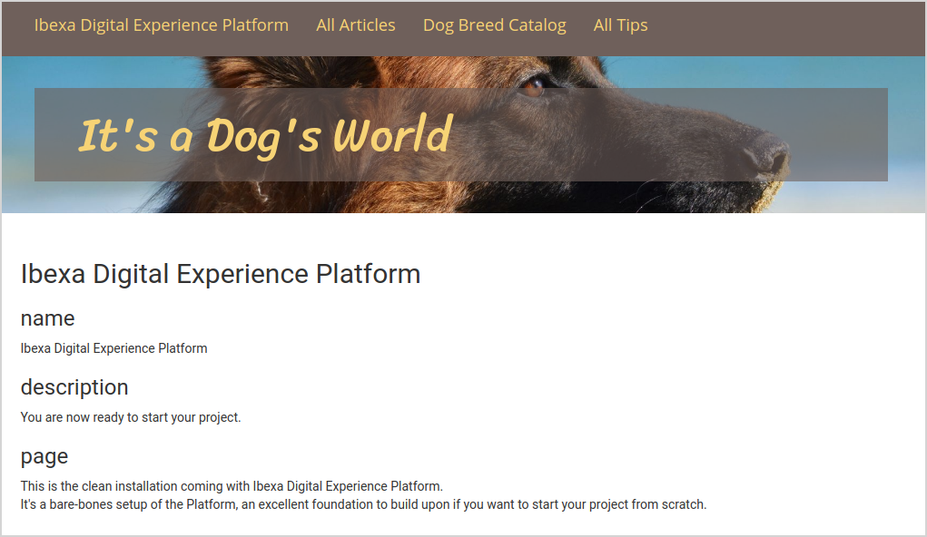 It's a Dog's World - Starting point